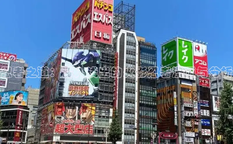 51动画网页版官网